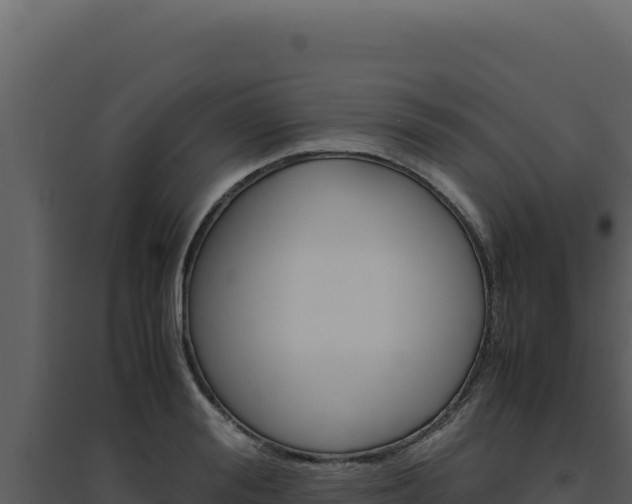 X0000094820988200711161024