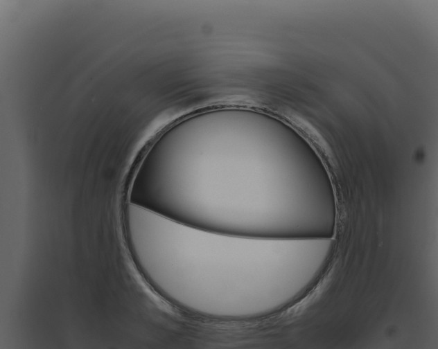 X0000094820989200711161024