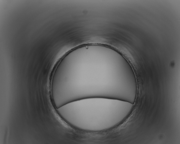 X0000094820990200711161024