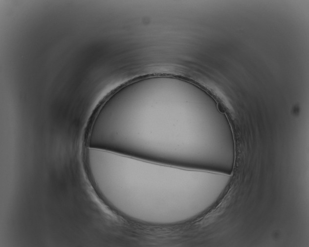 X0000094820991200711161024