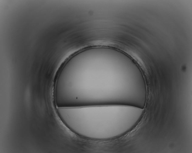 X0000094820992200711161024