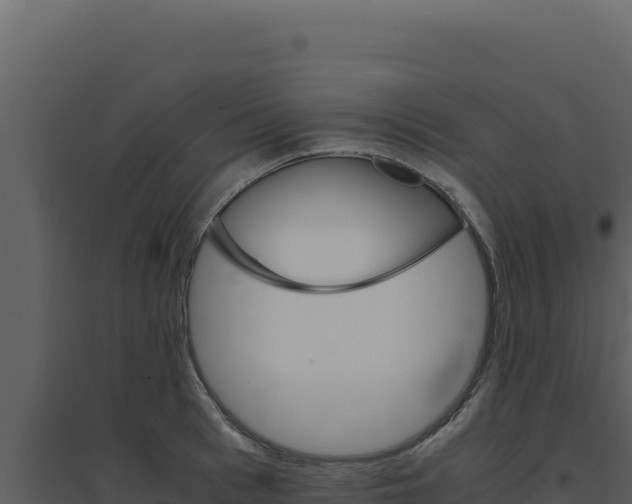 X0000094820993200711161024