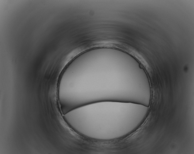 X0000094820994200711161024