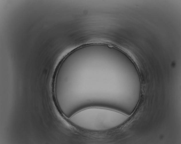 X0000094820995200711161024