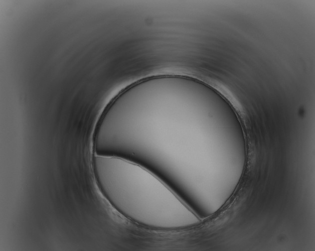 X0000094820996200711161024