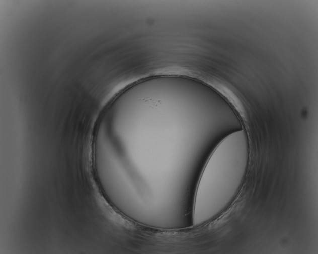 X0000094821000200711161024