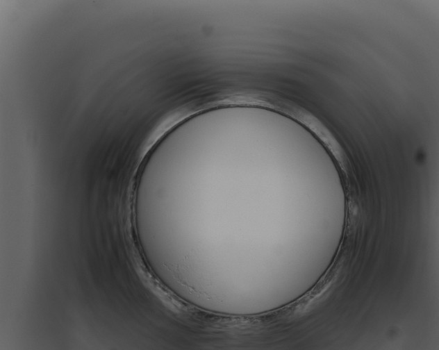 X0000094821002200711161024