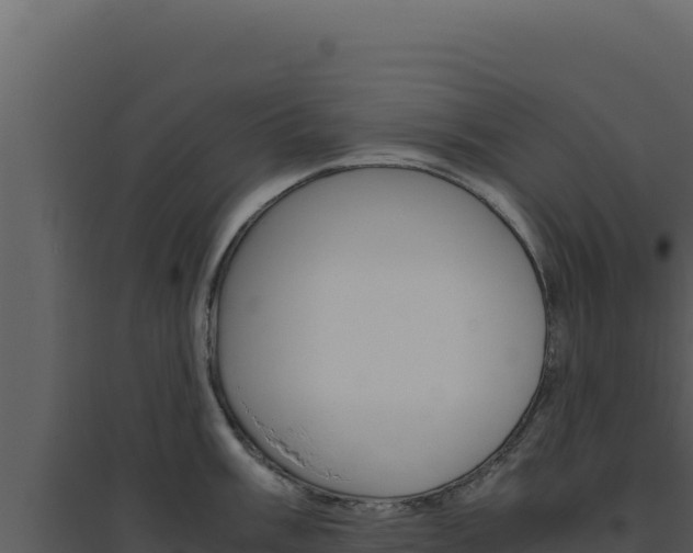 X0000094821003200711161024