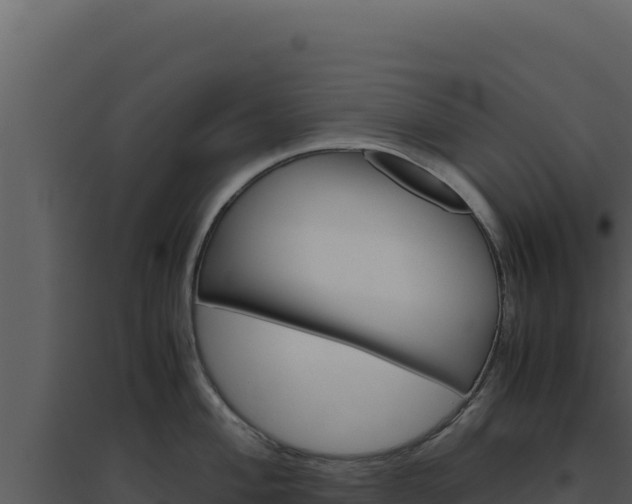 X0000094821004200711161024