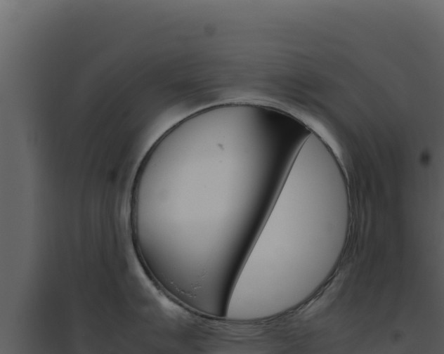 X0000094821007200711161023