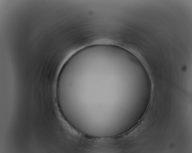 X0000094821008200711161023