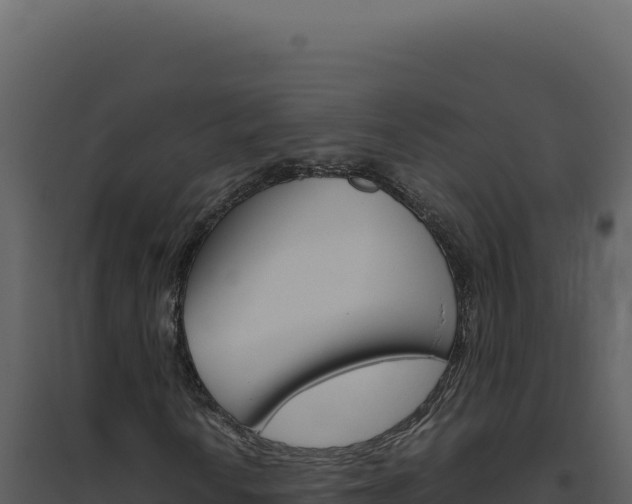 X0000094821010200711161023