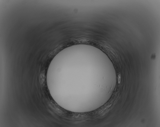 X0000094821011200711161023