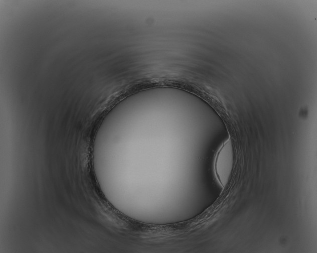 X0000094821012200711161023