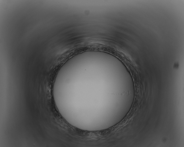 X0000094821013200711161023