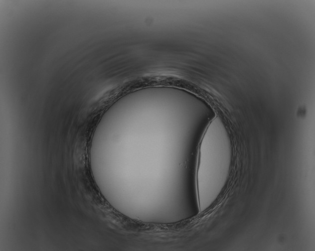 X0000094821014200711161023