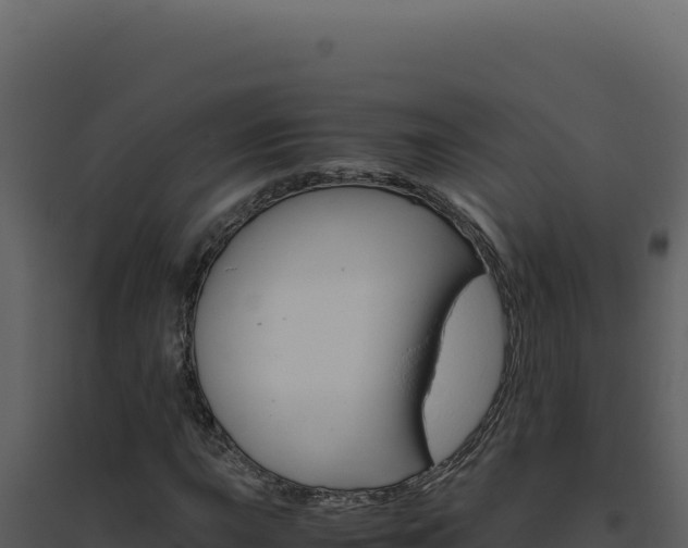 X0000094821015200711161023
