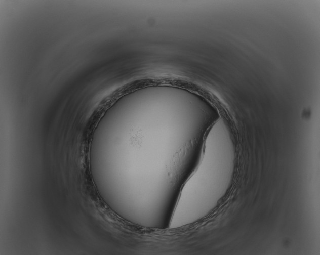 X0000094821016200711161023
