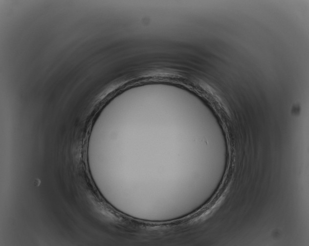 X0000094821017200711161023