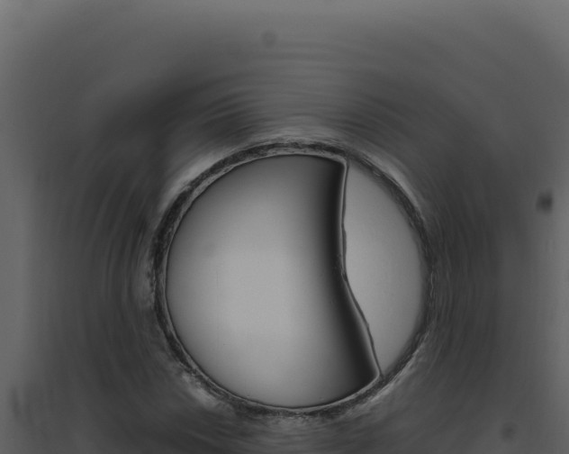 X0000094821018200711161023