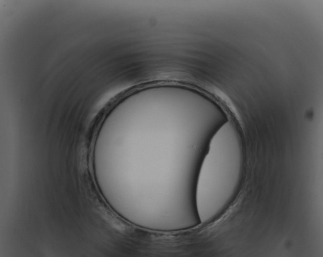 X0000094821019200711161023