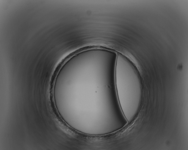 X0000094821020200711161023