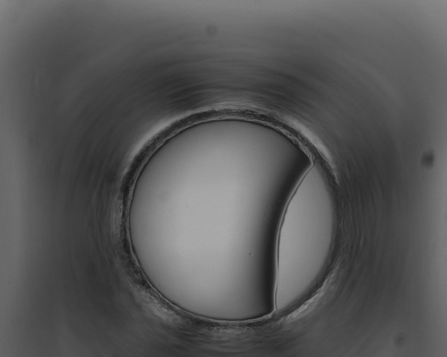 X0000094821021200711161023