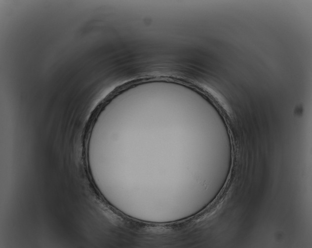 X0000094821023200711161023
