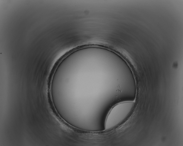 X0000094821024200711161023