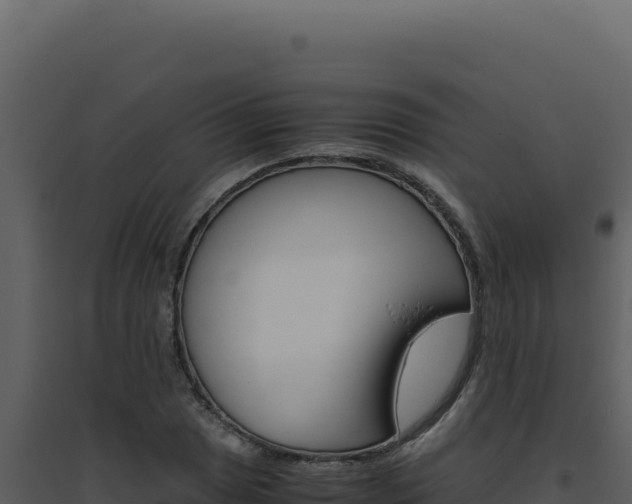 X0000094821025200711161023