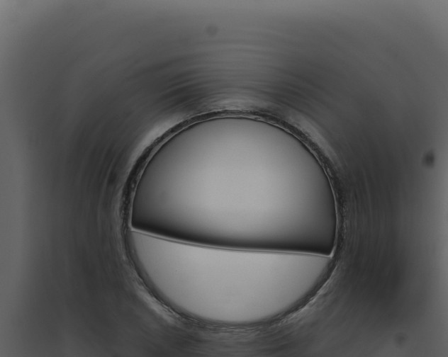 X0000094821026200711161023