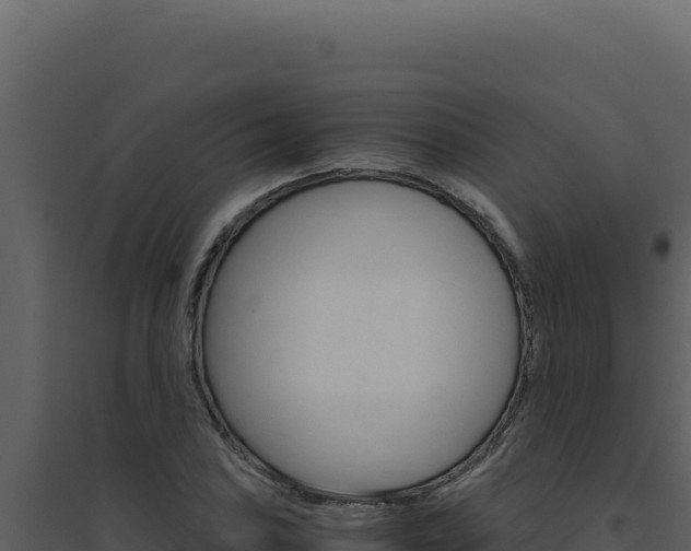 X0000094821027200711161023