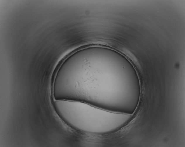 X0000094821028200711161023