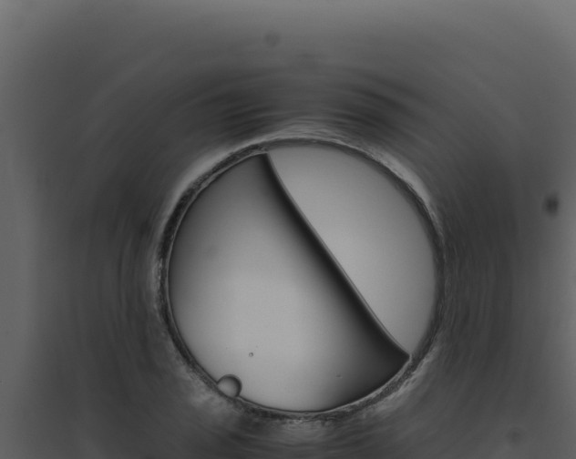 X0000094821029200711161023