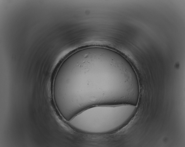 X0000094821030200711161023
