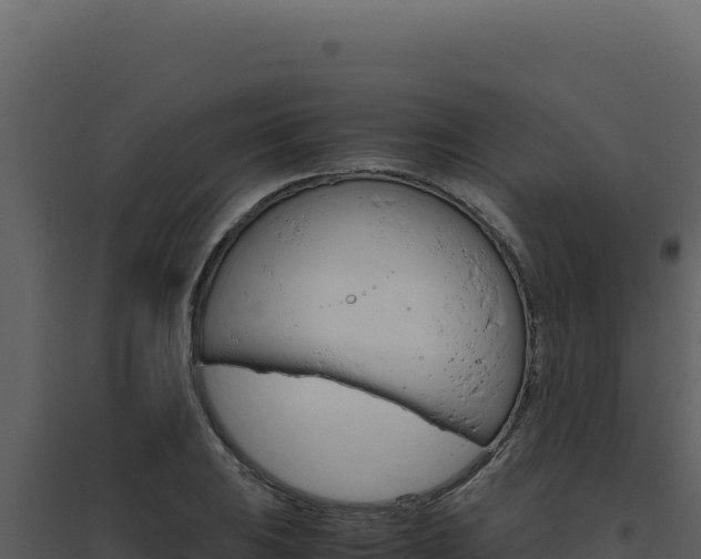 X0000094821031200711161023