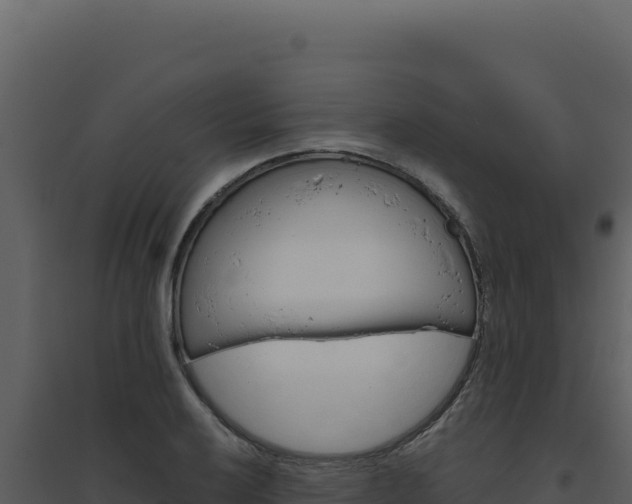 X0000094821032200711161023