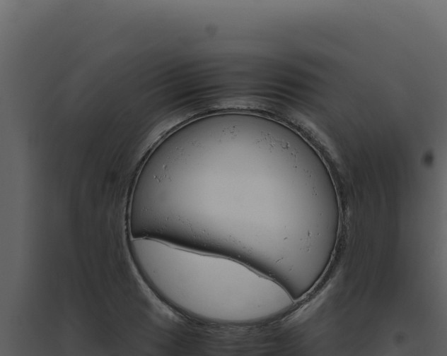 X0000094821033200711161023