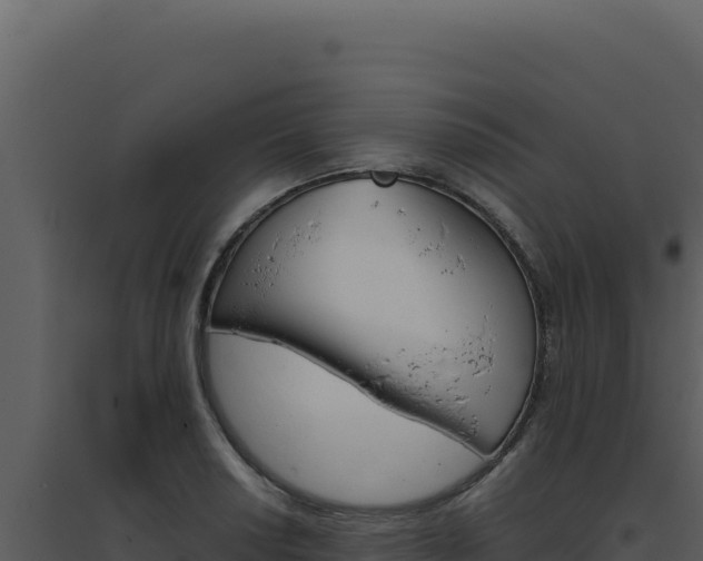 X0000094821034200711161023