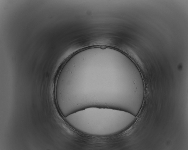X0000094821035200711161023