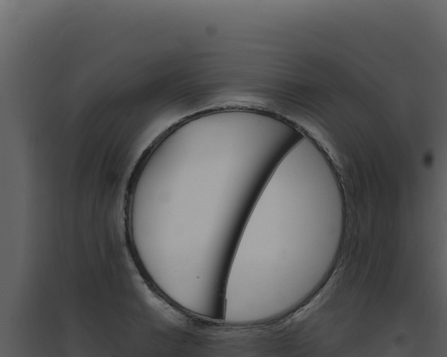 X0000094821038200711161023