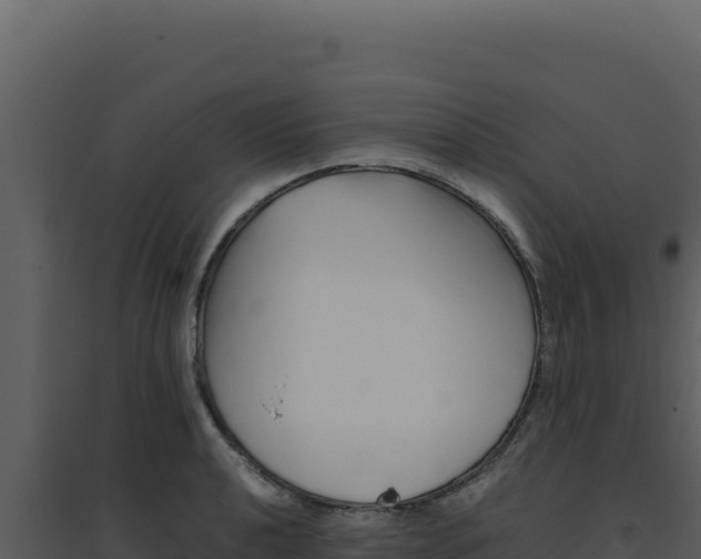 X0000094821040200711161023