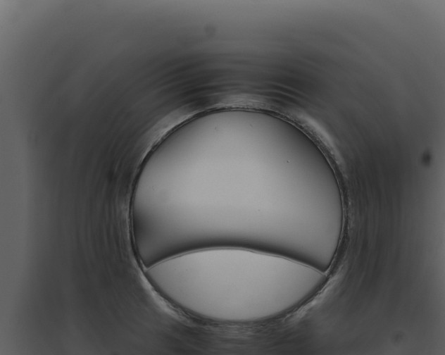 X0000094821041200711161023