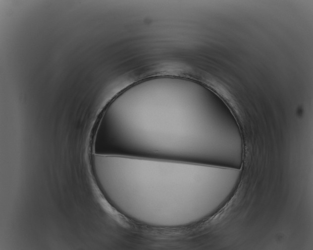 X0000094821042200711161023