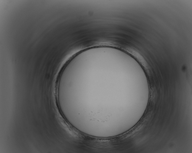 X0000094821043200711161023
