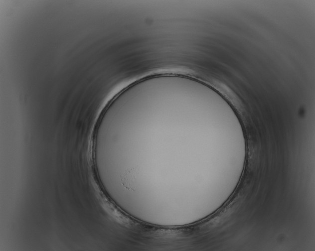 X0000094821044200711161023