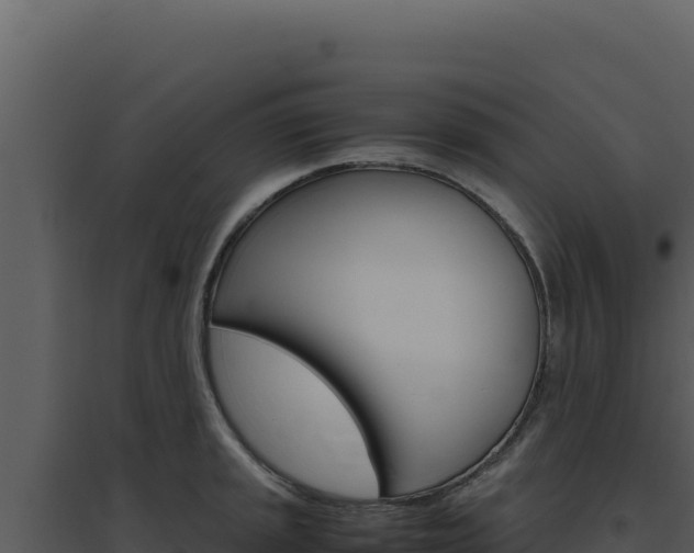 X0000094821045200711161023