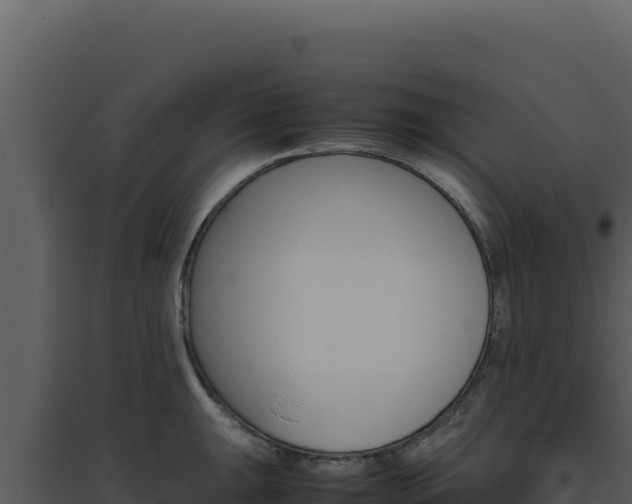 X0000094821047200711161023
