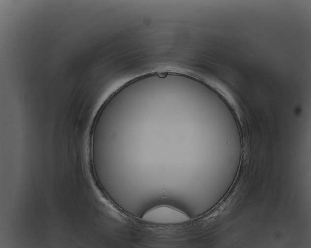 X0000094821048200711161023