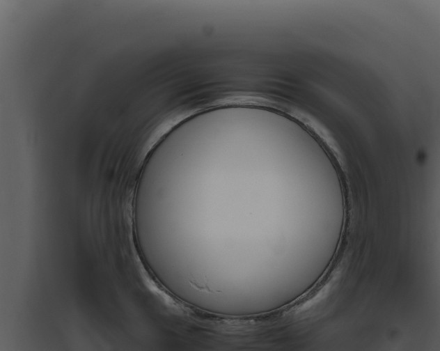 X0000094821049200711161023